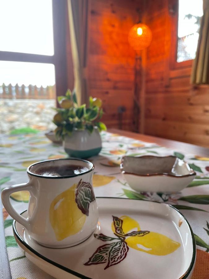 فيلا Andizalti Doga Evleri Limon Ev داتْشا المظهر الخارجي الصورة