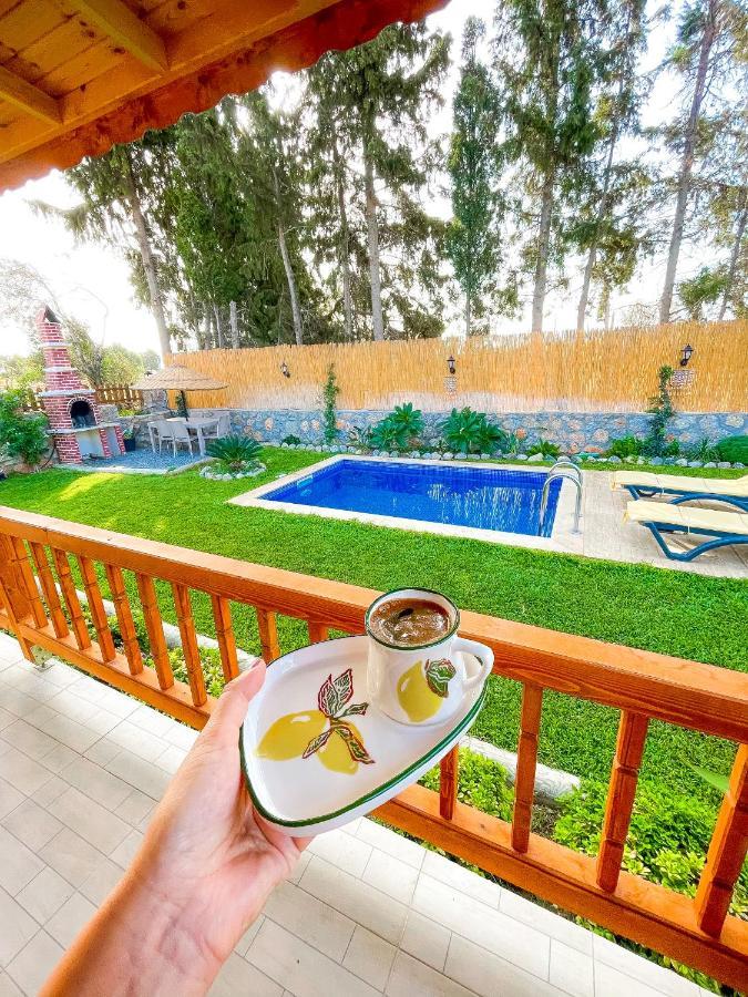 فيلا Andizalti Doga Evleri Limon Ev داتْشا المظهر الخارجي الصورة